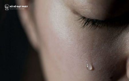 Mộng thấy bạn cũ rơi lệ